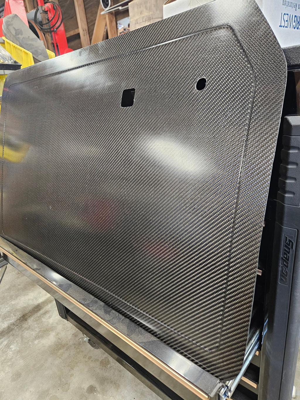 CARBON FIBER DOOR PANELS